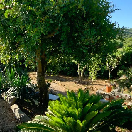 La Loggia Mit Privat Pool Santa Teresa Gallura