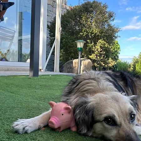 La Loggia Mit Privat Pool * סנטה טרזה גאיורה