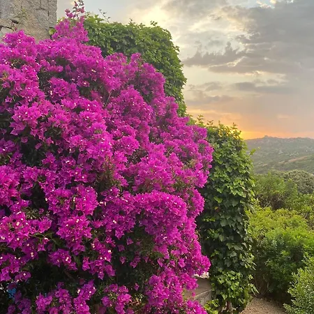 La Loggia Mit Privat Pool Nyaraló *