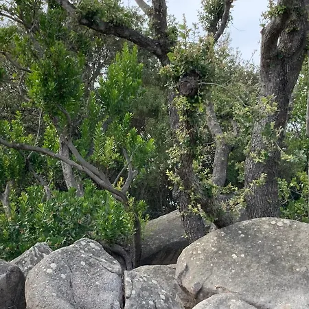 Nyaraló La Loggia Mit Privat Pool Santa Teresa Gallura