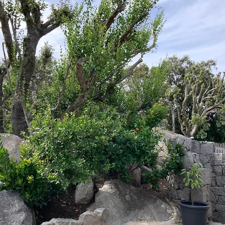 Hébergement de vacances La Loggia Mit Privat Pool